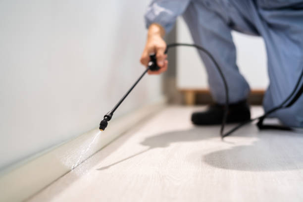Licensed Pest Control service in Palmyra, MO - Show Me Pest Control
