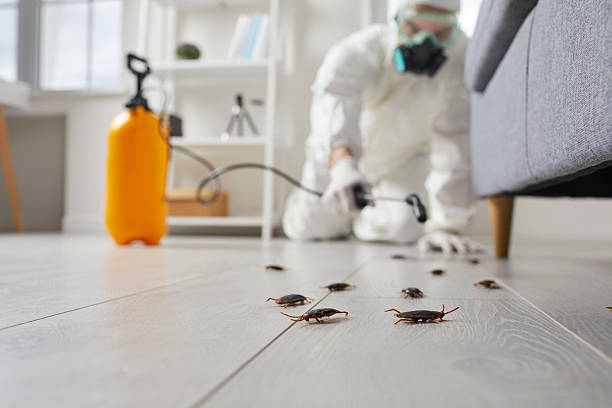 Commercial Rodent Management in Palmyra